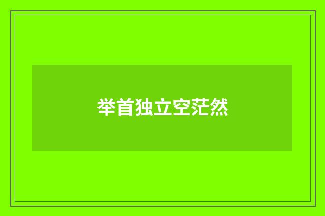 举首独立空茫然