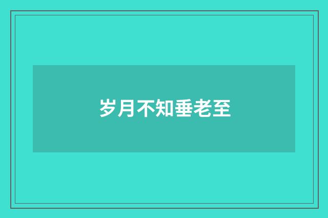 岁月不知垂老至