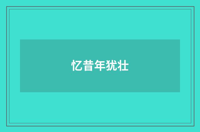 忆昔年犹壮
