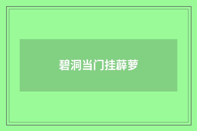 碧洞当门挂薜萝