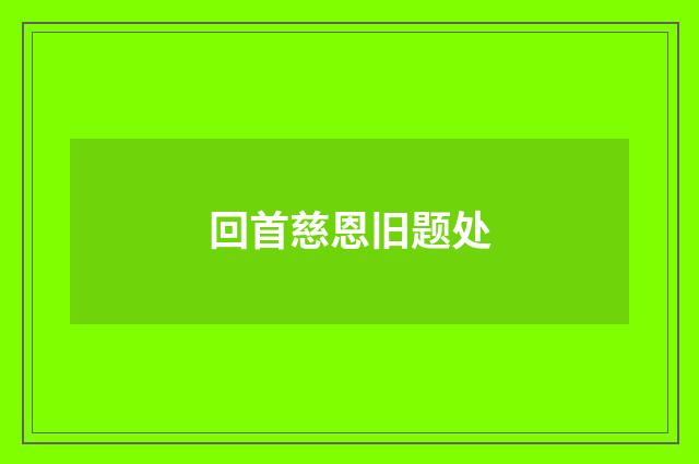 回首慈恩旧题处