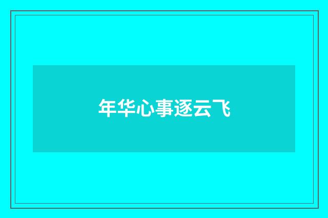 年华心事逐云飞