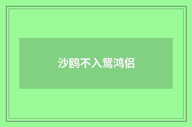 沙鸥不入鸳鸿侣