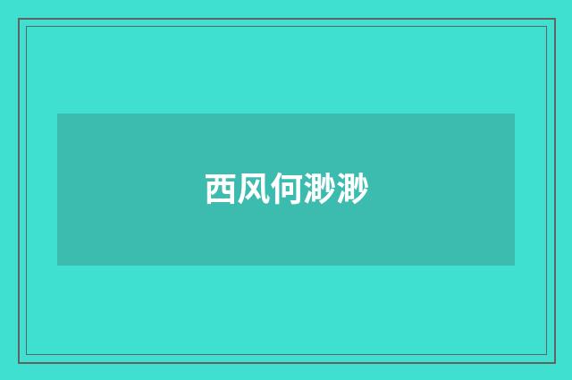 西风何渺渺