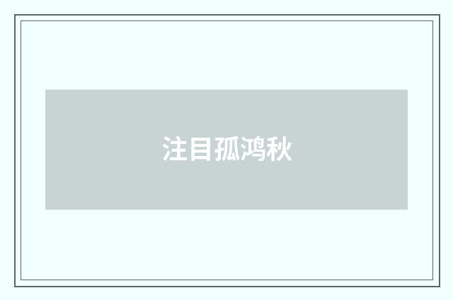 注目孤鸿秋