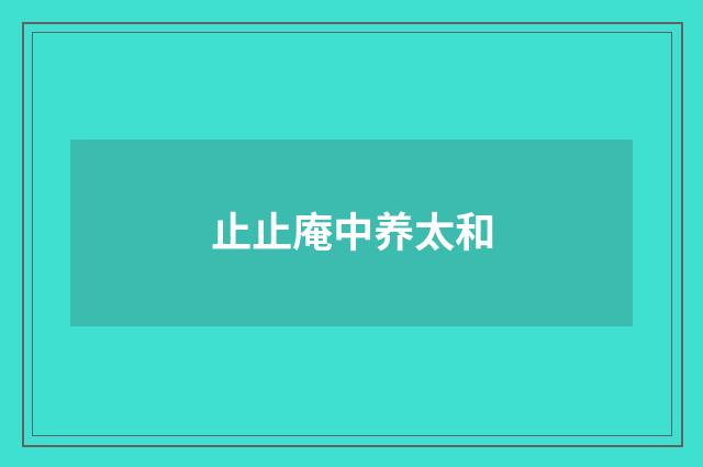 止止庵中养太和