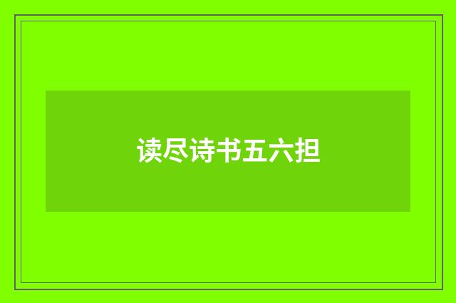 读尽诗书五六担
