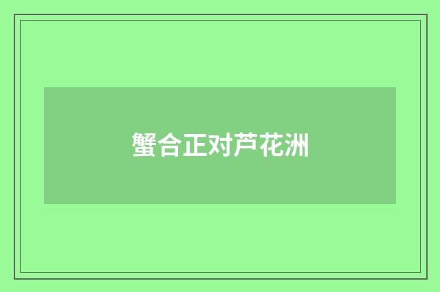 蟹合正对芦花洲