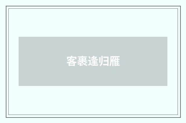 客裹逢归雁
