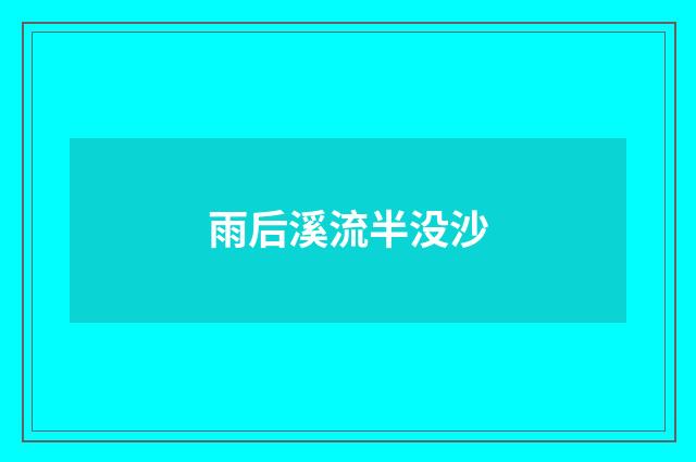 雨后溪流半没沙
