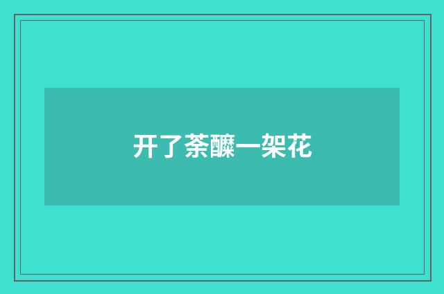 开了荼醾一架花