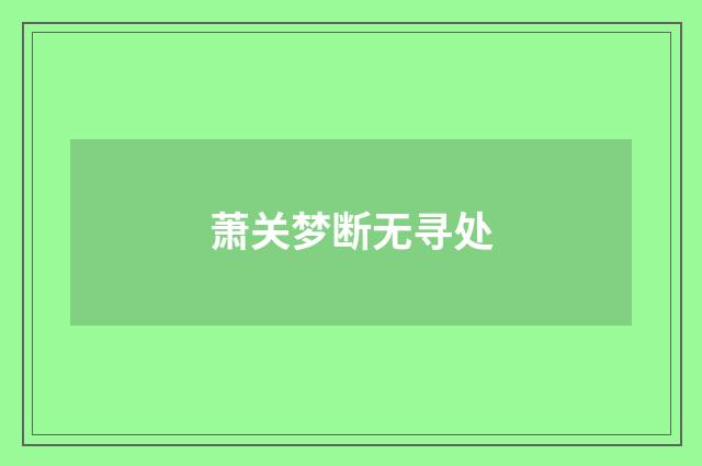萧关梦断无寻处