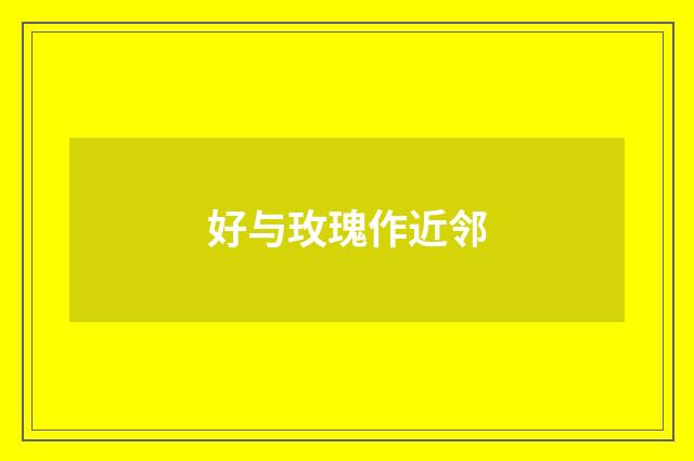 好与玫瑰作近邻