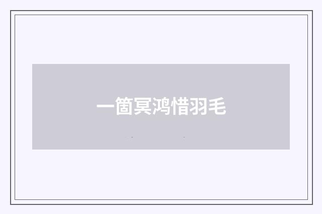 一箇冥鸿惜羽毛