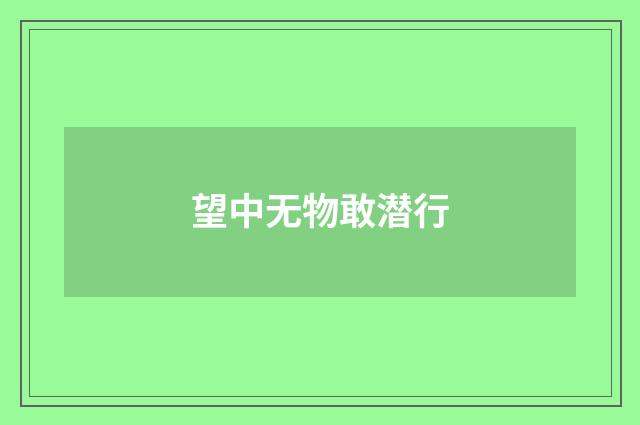 望中无物敢潜行