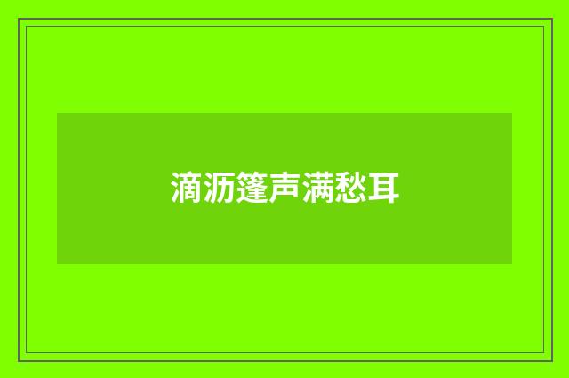 滴沥篷声满愁耳