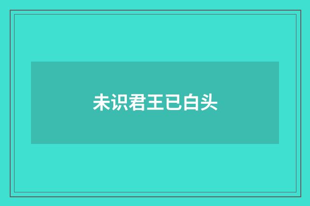 未识君王已白头