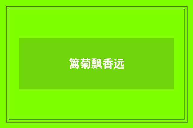 篱菊飘香远