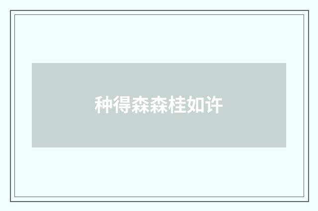种得森森桂如许