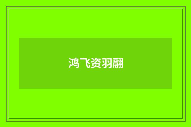 鸿飞资羽翮