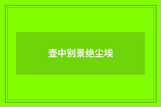 壶中别景绝尘埃