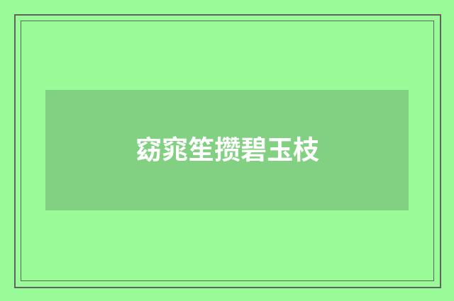 窈窕笙攒碧玉枝