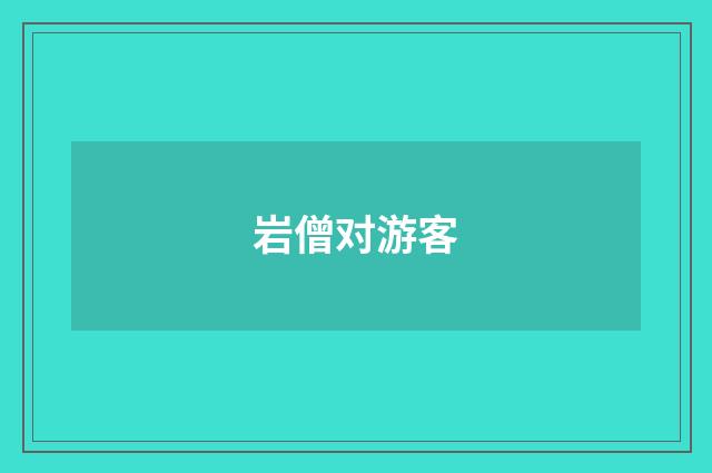 岩僧对游客