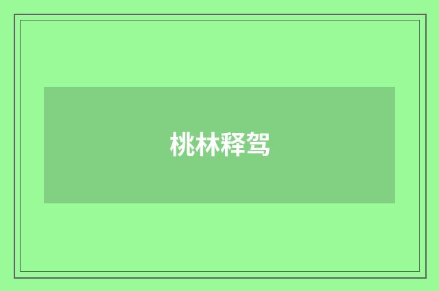 桃林释驾