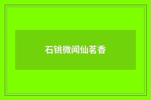 石铫微闻仙茗香