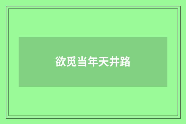 欲觅当年天井路