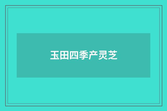 玉田四季产灵芝