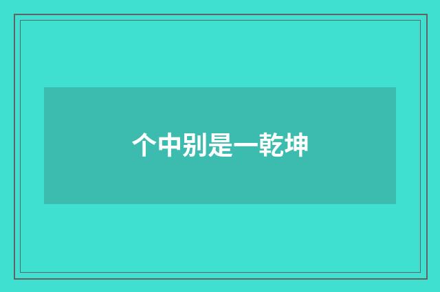 个中别是一乾坤