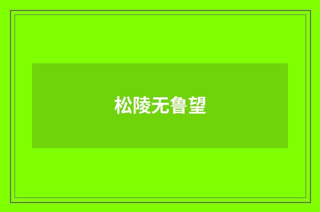 松陵无鲁望