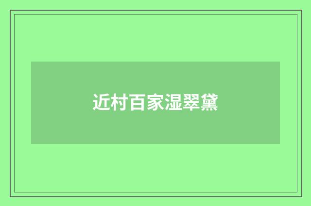 近村百家湿翠黛