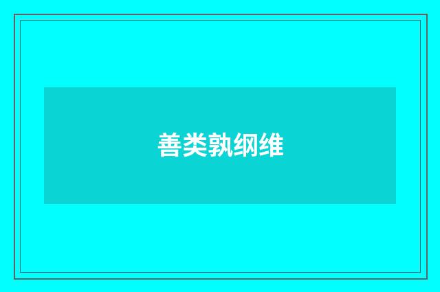 善类孰纲维