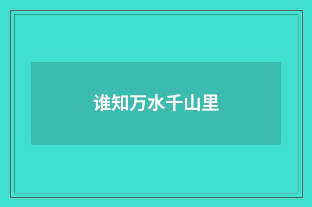 谁知万水千山里