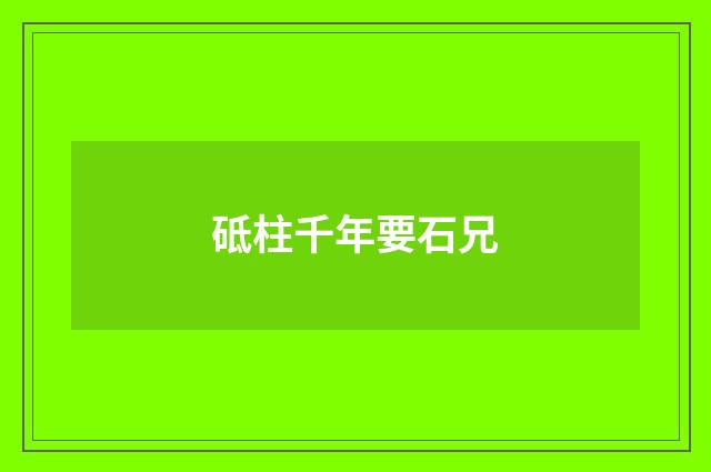 砥柱千年要石兄