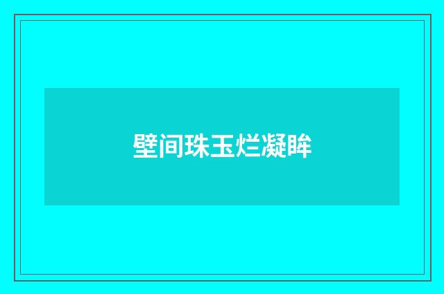 壁间珠玉烂凝眸