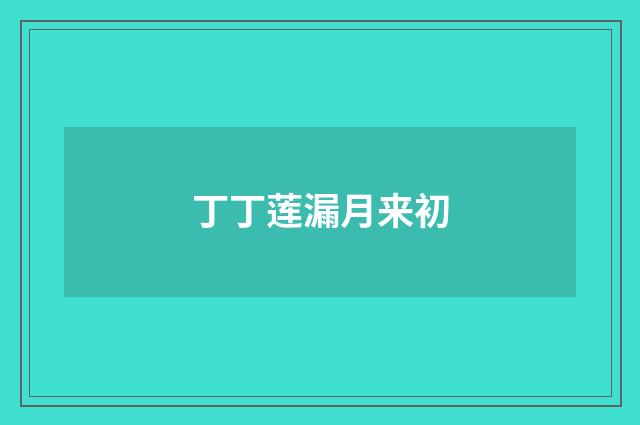 丁丁莲漏月来初