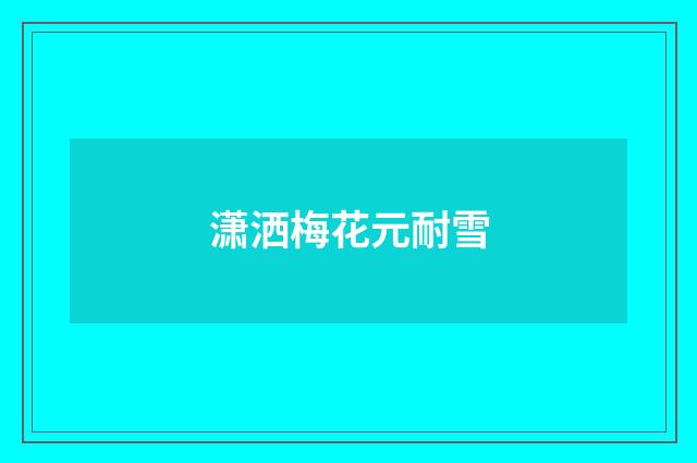 潇洒梅花元耐雪