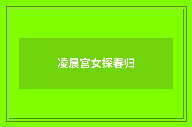 凌晨宫女探春归