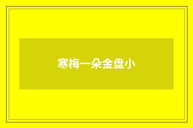 寒梅一朵金盘小