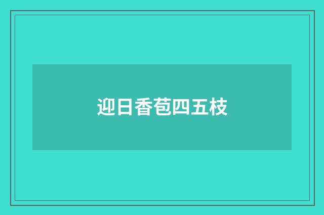 迎日香苞四五枝
