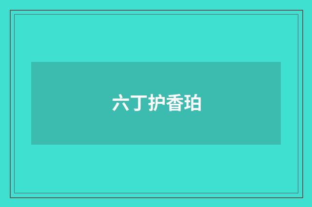 六丁护香珀