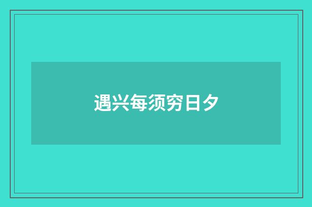 遇兴每须穷日夕