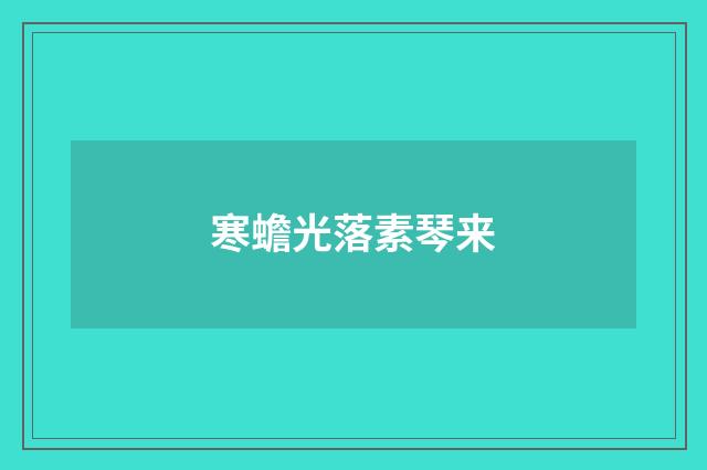寒蟾光落素琴来
