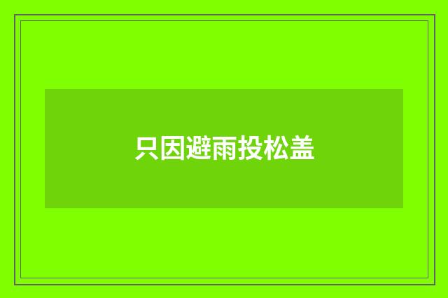 只因避雨投松盖