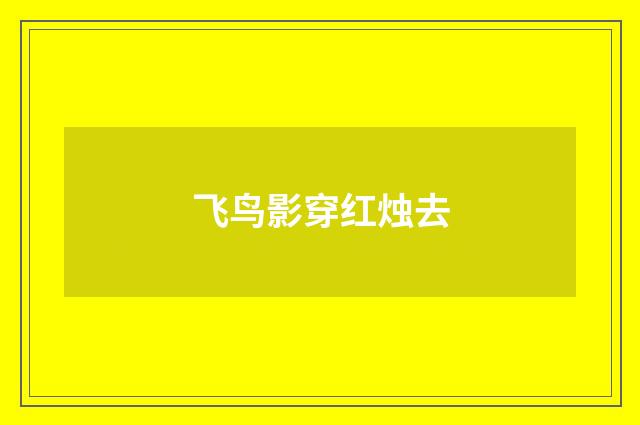 飞鸟影穿红烛去