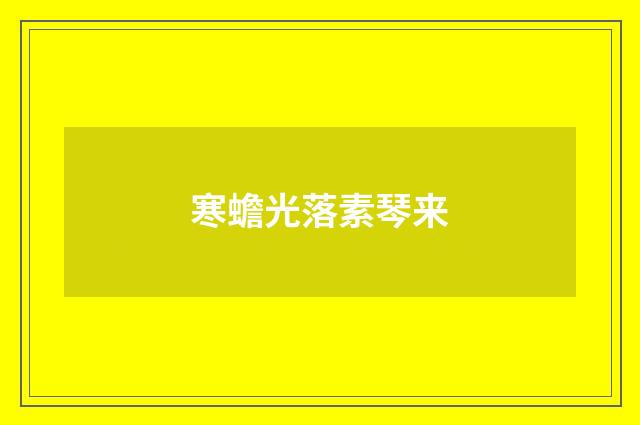 寒蟾光落素琴来