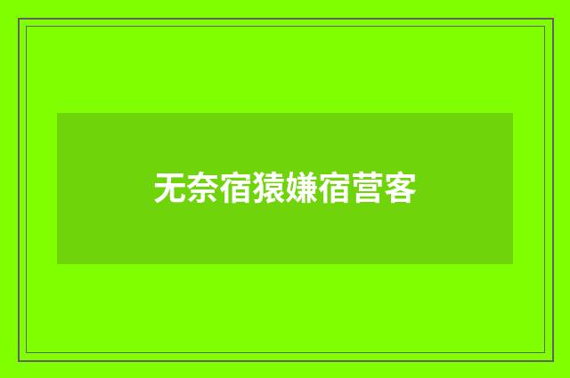 无奈宿猿嫌宿营客